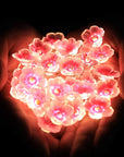 Cherry Blossom Fairy String Lights