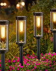 LED Solar Pathway Light Pack