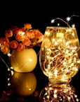LED Wire String Lights