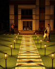 LED Solar Pathway Light Pack