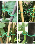 Garden Vine & Plant Strapping Clips