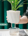 Lazy Hydroponic Plant Pot