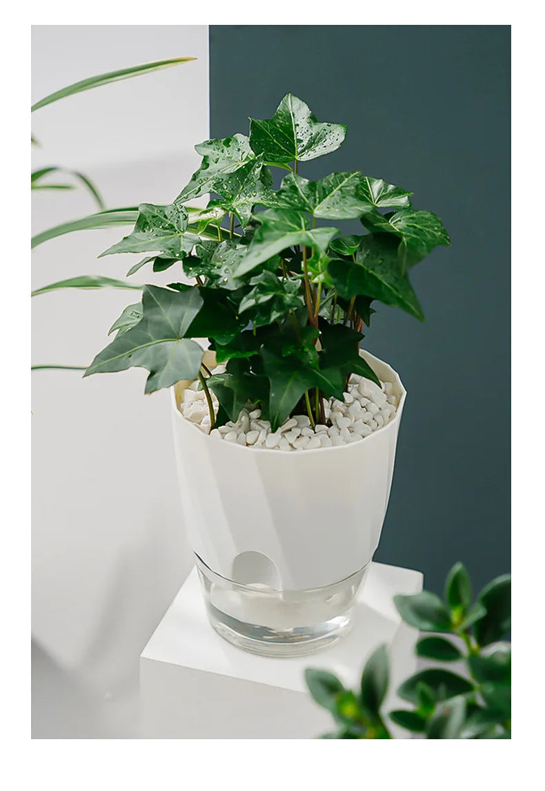 Lazy Hydroponic Plant Pot