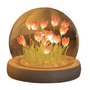 Tulip Night Light Case