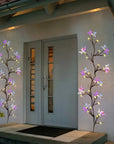 Enchanted Willow Vine Light