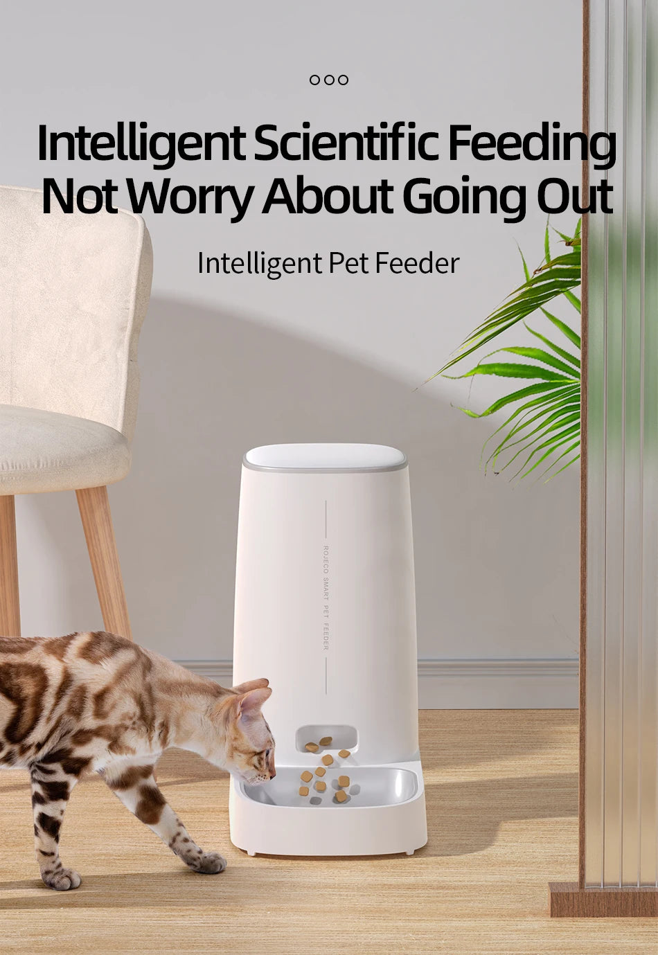 Remote Control Automatic Pet Feeder Pet Smart