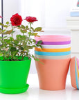 Coloured Plant Pots