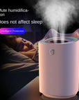 Dual Jet Air Humidifier